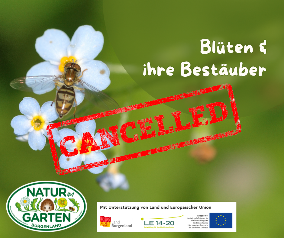 Blüten und ihre Bestäuber - ABGESAGT