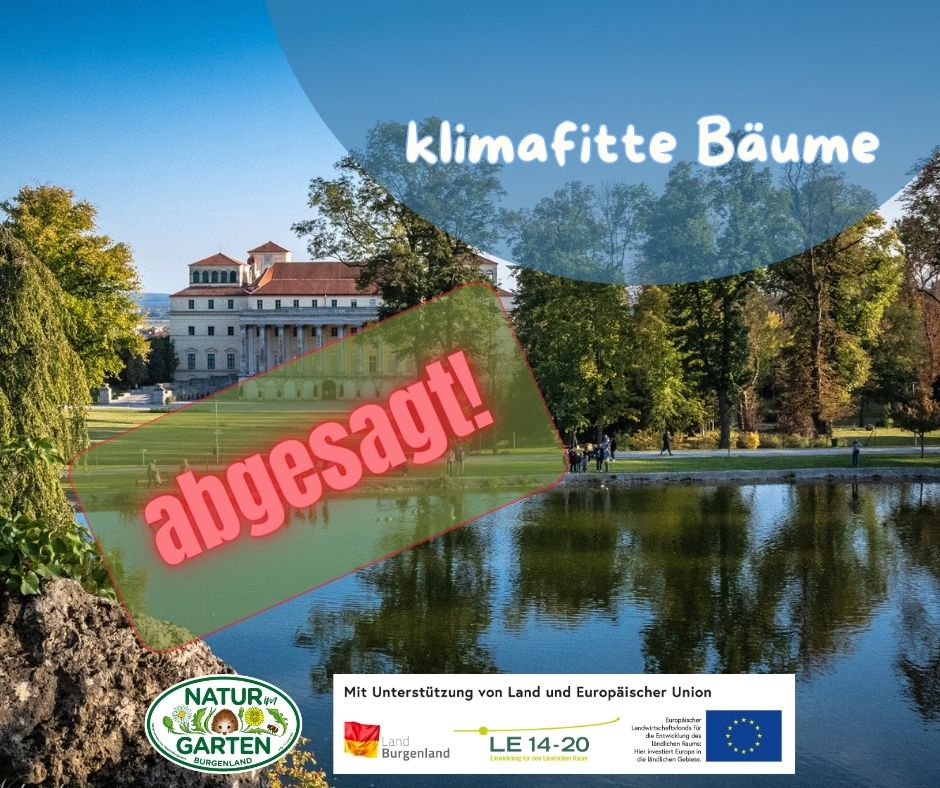 Klimafitte Bäume