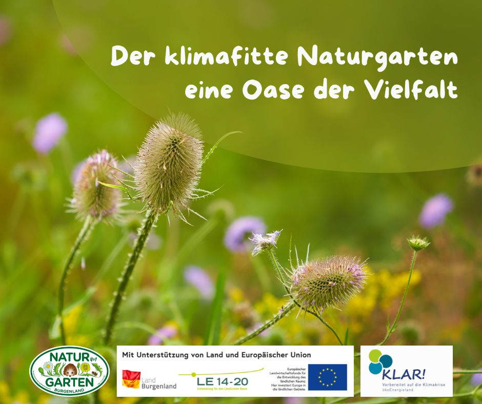 Der klimafitte Naturgarten - eine Oase der Vielfalt