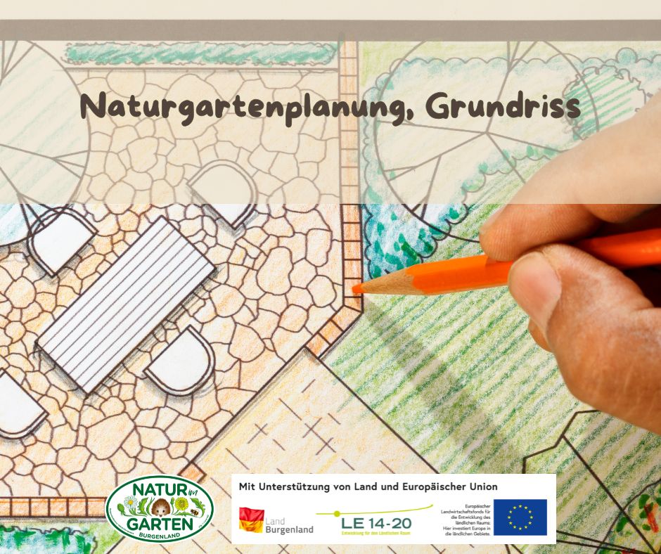 Naturgartenplanung, Grundriss