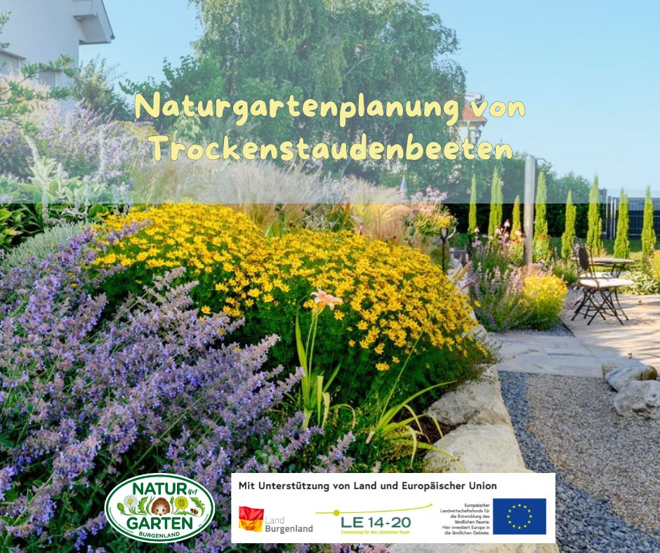 Naturgartenplanung von Trockenstaudenbeeten